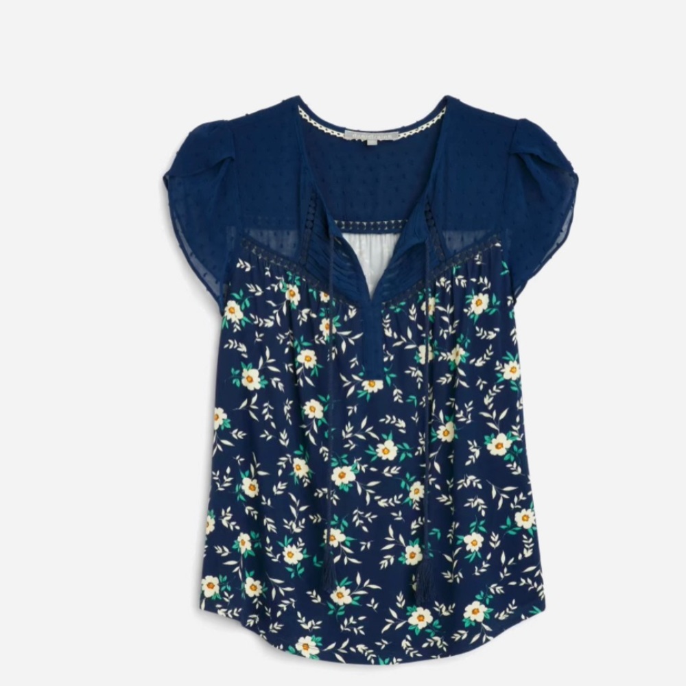 Daniel Rainn Jarra Flutter Sleeve Tassel Knit Top